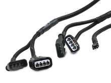 Load image into Gallery viewer, Photo - Unmounted