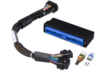 Load image into Gallery viewer, Haltech Elite 2000/2500 Plug-n-Play Adaptor Harness