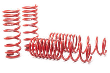 Load image into Gallery viewer, H&amp;R 04-08 Acura TL 6 Cyl Race Spring