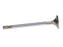 Load image into Gallery viewer, Manley Ford Coyote 5.0L DOHC Race Master 32mm Head 5.96mm Stem 4.274 Length (Set of 8)