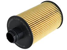 Load image into Gallery viewer, aFe Pro GUARD HD Oil Filter (4 Pack) RAM 1500 EcoDiesel 14-16 V6-3.0L (td)