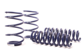 H&R 13-15 BMW X1 sDrive28i E84 Sport Spring (2WD Only)