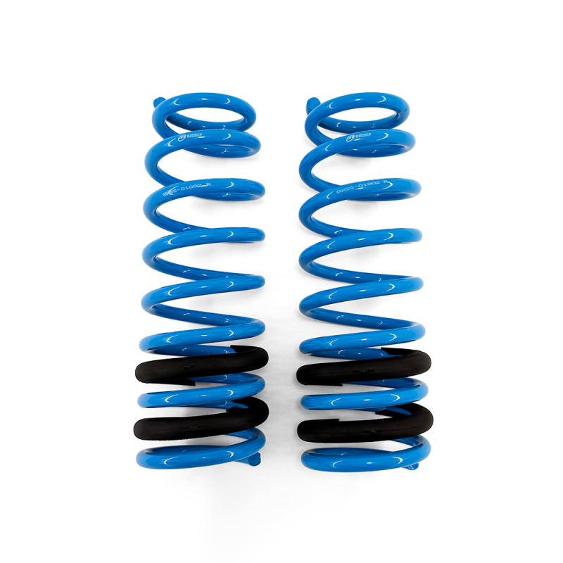 BLOX Racing Lowering Springs 96-00 Honda Civic