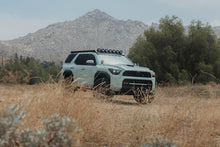 Load image into Gallery viewer, DV8 Offroad 25-26 Toyota 4Runner Exterior Window Molles (Use w/ PN dveRRTF3-02) - Passenger