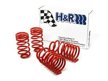 Load image into Gallery viewer, H&amp;R 96-98 Volkswagen Golf/Jetta 8V MK3 Race Spring (After 7/1/96)