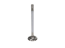 Load image into Gallery viewer, Manley Ford Coyote 5.0L DOHC Race Master 32mm Head 5.96mm Stem 4.274 Length (Set of 8)