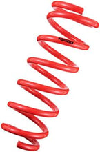 Load image into Gallery viewer, Tanabe NF210 Springs 06-07 GS300