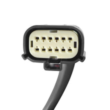 Load image into Gallery viewer, AlphaRex 19-21 Dodge Ram 1500 Luxx-Series LED Tail Lights Alpha-Black w/Activ Light/Seq Signal