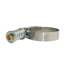 Load image into Gallery viewer, BD Diesel High Torque Hose Clamp - 2.75in