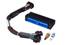 Load image into Gallery viewer, Haltech Elite 1000/1500 Plug-n-Play Adaptor Harness