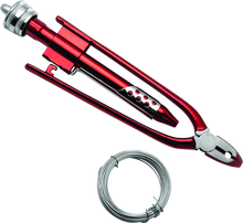 Load image into Gallery viewer, Photo - Primary