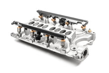 Load image into Gallery viewer, Radium Engineering Ford 302/351 Windsor Fuel Rails