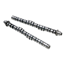 Load image into Gallery viewer, Skunk2 Tuner Series Honda B16A/B17A/B18C DOHC VTEC Stage 1 Cam Shafts (CARB Exempt)