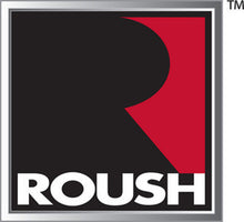 Load image into Gallery viewer, Roush 2005-2010 Ford Mustang 4.6L V8 Stage 2 Front Struts